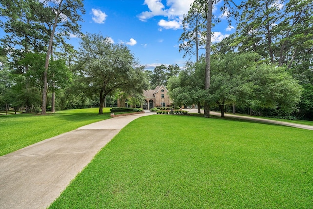 23303 Holly Creek Trl, Tomball, TX 77377 - photo 4