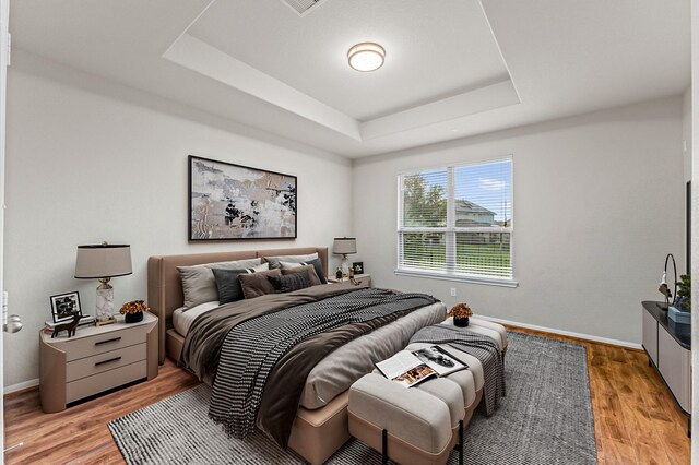 9415 Vista Falls Ct, Richmond, TX 77469 - bedroom with a tray ceiling and light wood finished floors