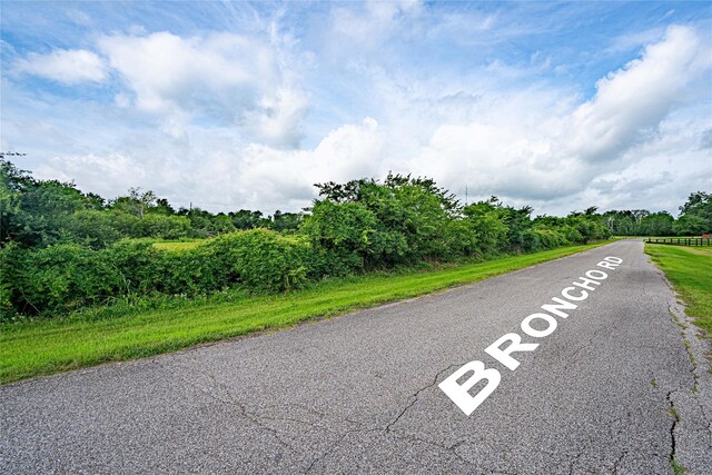 219 Pony Ln, Simonton, TX 77485 - photo 7
