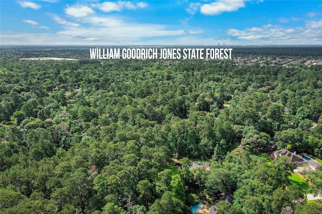 2403 Mustang Dr, Conroe, TX 77384 - view of property location with a forest