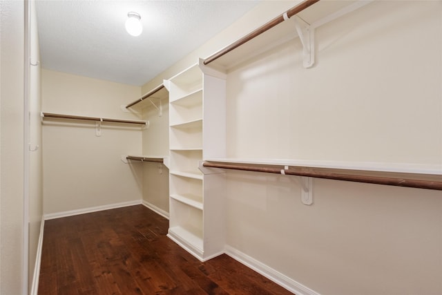 8666 Pearl Point St, Houston, TX 77044 - walk in closet with dark wood-type flooring