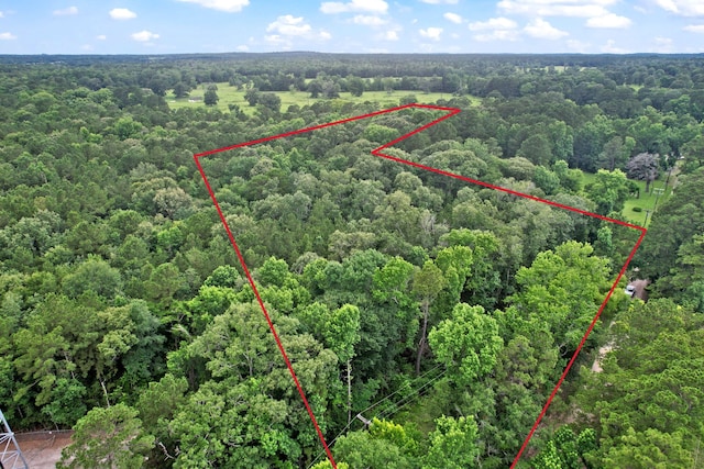 TBD Ryan Ferry Rd, Point Blank, TX 77364