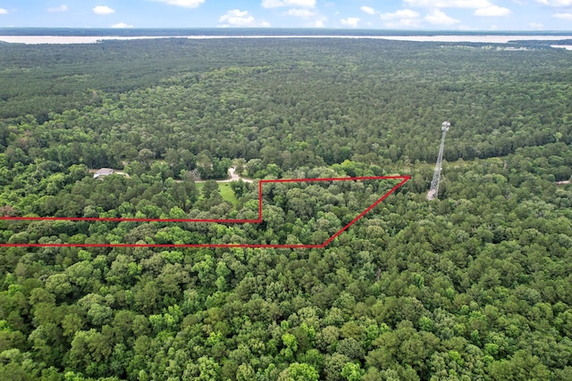 TBD Ryan Ferry Rd, Point Blank, TX 77364