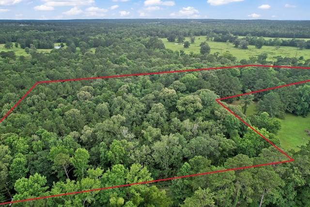 TBD Ryan Ferry Rd, Point Blank, TX 77364