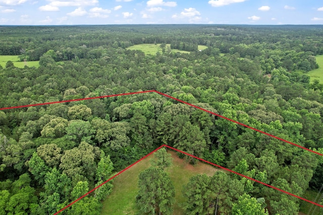 TBD Ryan Ferry Rd, Point Blank, TX 77364