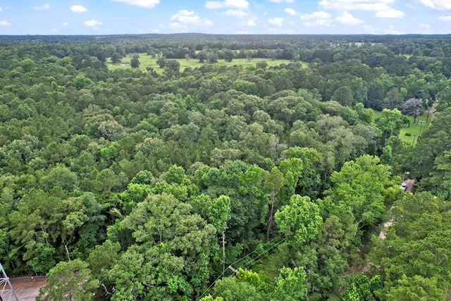 TBD Ryan Ferry Rd, Point Blank, TX 77364