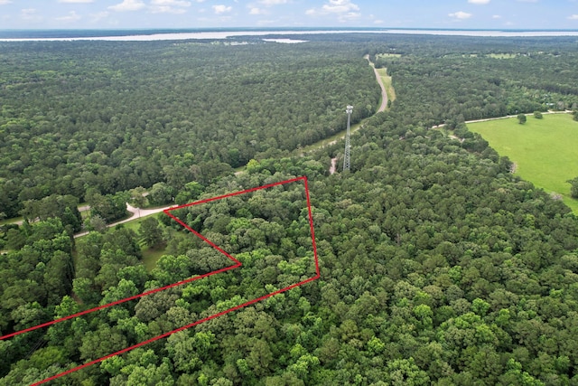 TBD Ryan Ferry Rd, Point Blank, TX 77364