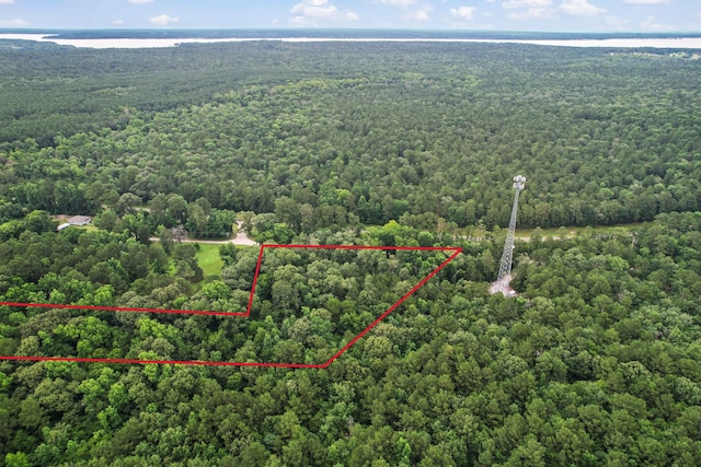 TBD Ryan Ferry Rd, Point Blank, TX 77364