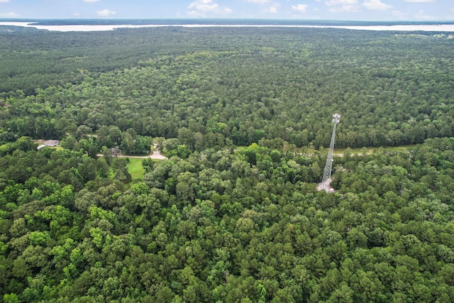 TBD Ryan Ferry Rd, Point Blank, TX 77364