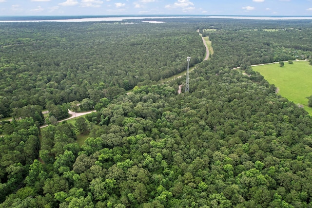 TBD Ryan Ferry Rd, Point Blank, TX 77364