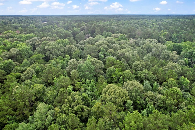 TBD Ryan Ferry Rd, Point Blank, TX 77364