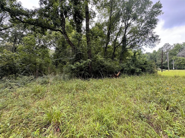 TBD Ryan Ferry Rd, Point Blank, TX 77364