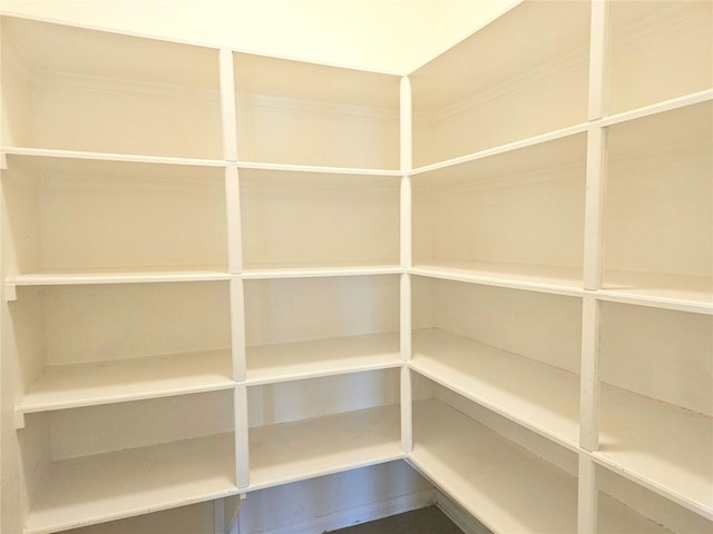 22106 Flashing Ridge Dr, Spring, TX 77389 - view of storage area
