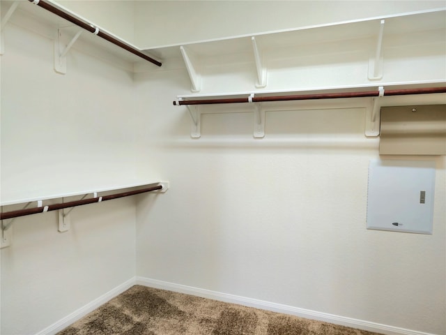 22106 Flashing Ridge Dr, Spring, TX 77389 - walk in closet with carpet