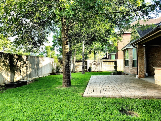 22106 Flashing Ridge Dr, Spring, TX 77389 - fenced backyard featuring a patio