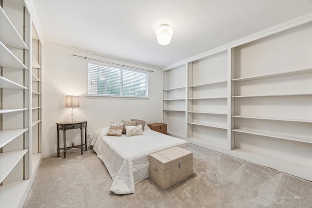 13307 Westport Ln, Houston, TX 77079 - bedroom with carpet