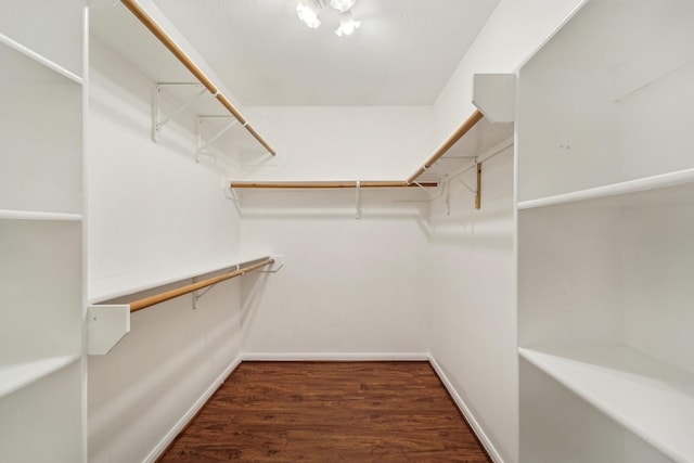 19115 Forest Ridge Dr, Magnolia, TX 77355 - walk in closet with wood finished floors
