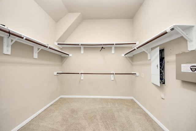 12131 Cove Ridge Ln, Cypress, TX 77433 - spacious closet with carpet floors