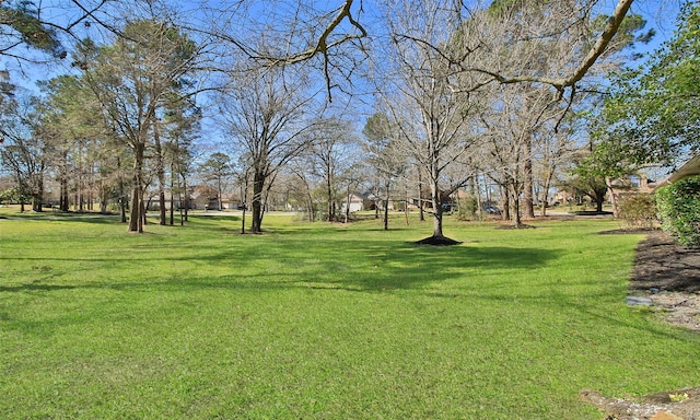 26 Winthrop Harbor Ct, Montgomery, TX 77356 - photo 2