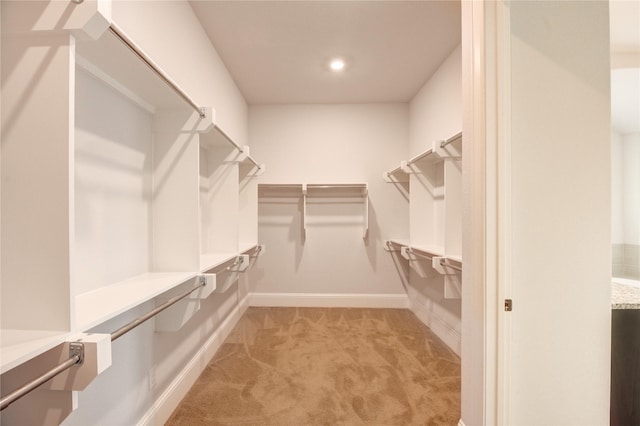 3242 N Upland St, Katy, TX 77493 - walk in closet featuring carpet flooring