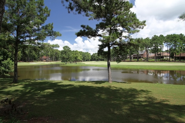 30 Winthrop Harbor Ct, Montgomery, TX 77356 - photo 31