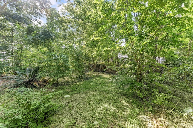 4727 Arvilla Ln, Houston, TX 77021 - photo 22