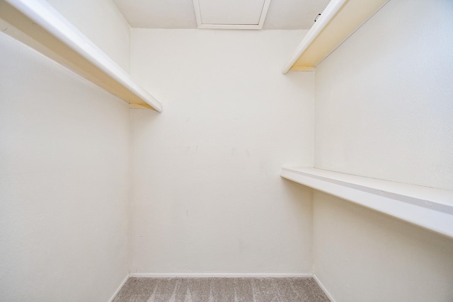 6915 Jeb Stuart Dr, Richmond, TX 77469 - spacious closet featuring carpet