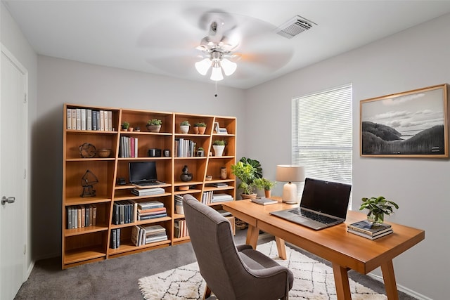 12026 Madison Oak St, Houston, TX 77038 - office with ceiling fan and carpet floors