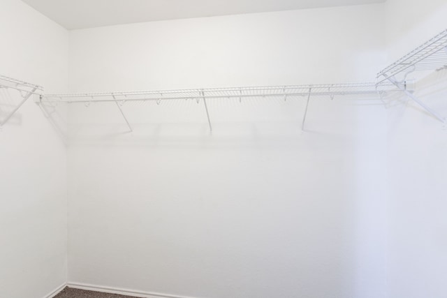 12026 Madison Oak St, Houston, TX 77038 - spacious closet with carpet