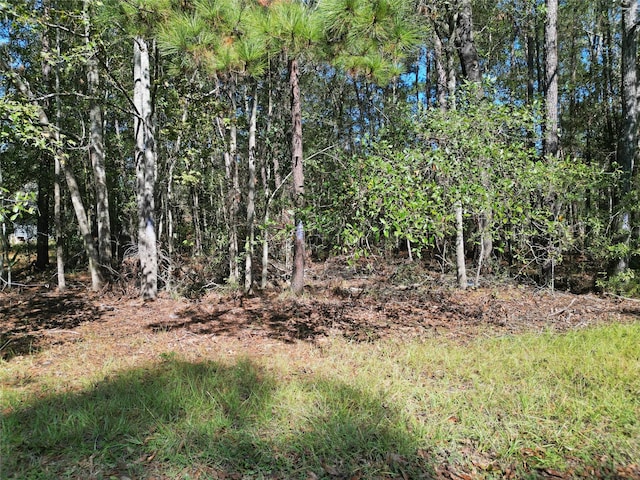 19265 Sims Rd, Cleveland, TX 77328