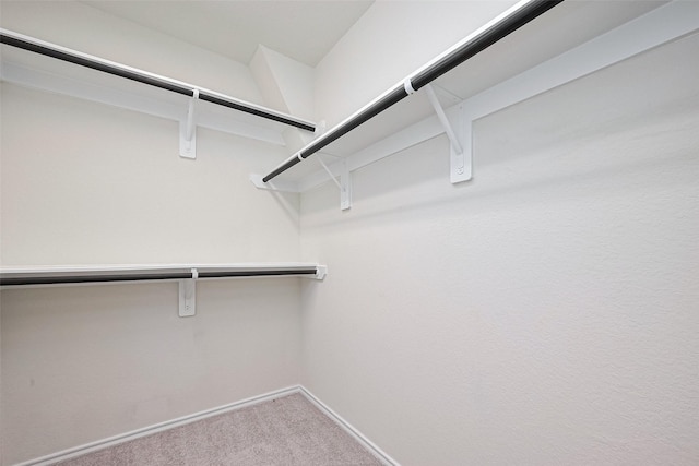 3414 Signor Dr, Houston, TX 77025 - walk in closet featuring carpet flooring
