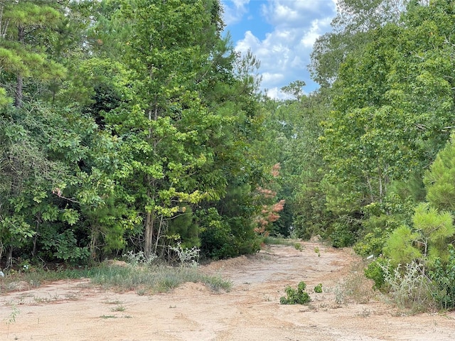 16611 Retreat Rd, Willis, TX 77378