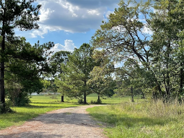 16611 Retreat Rd, Willis, TX 77378
