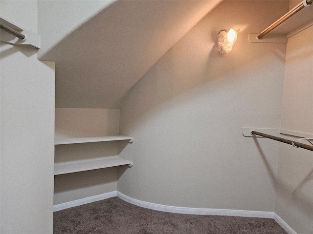 3811 Pearl Pass Ln, Sugar Land, TX 77479 - walk in closet featuring dark colored carpet and vaulted ceiling