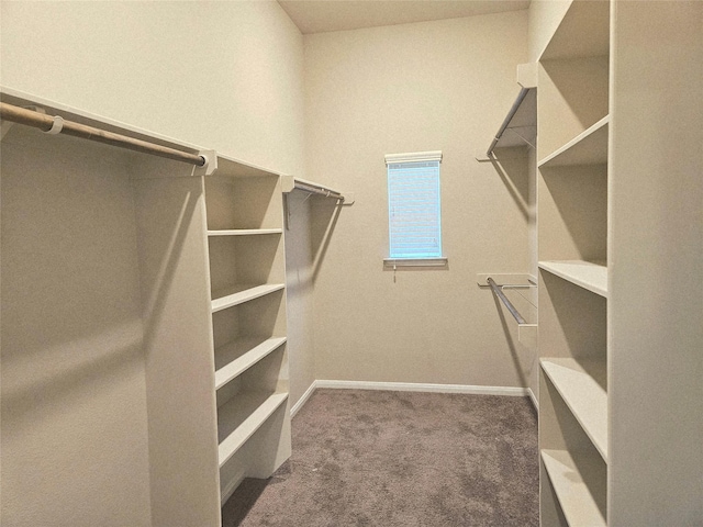 3811 Pearl Pass Ln, Sugar Land, TX 77479 - spacious closet featuring carpet flooring