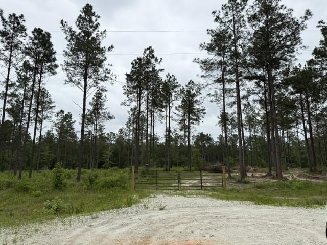00 Richardson Rd E, Livingston, TX 77351 - photo 1