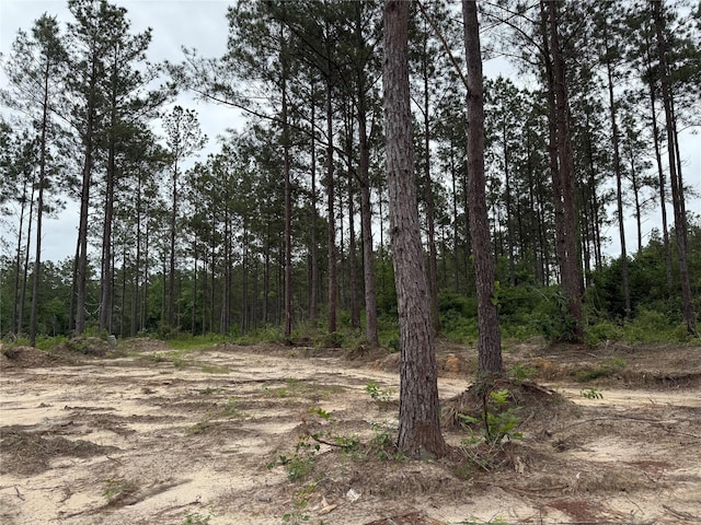 00 Richardson Rd E, Livingston, TX 77351 - photo 2