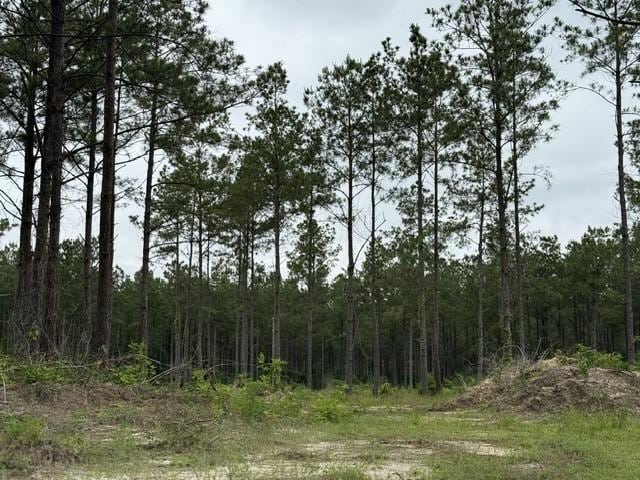 00 Richardson Rd E, Livingston, TX 77351 - photo 3