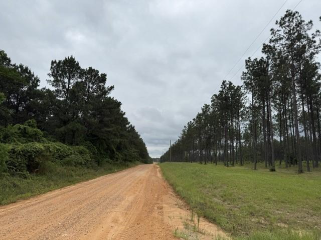 00 Richardson Rd E, Livingston, TX 77351 - photo 6