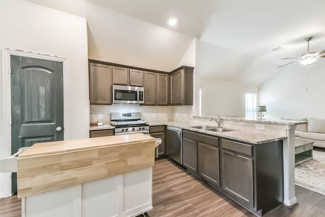 16107 Dockside St, Crosby, TX 77532 - kitchen with appliances with stainless steel finishes, vaulted ceiling, a peninsula, light wood-style floors, and open floor plan