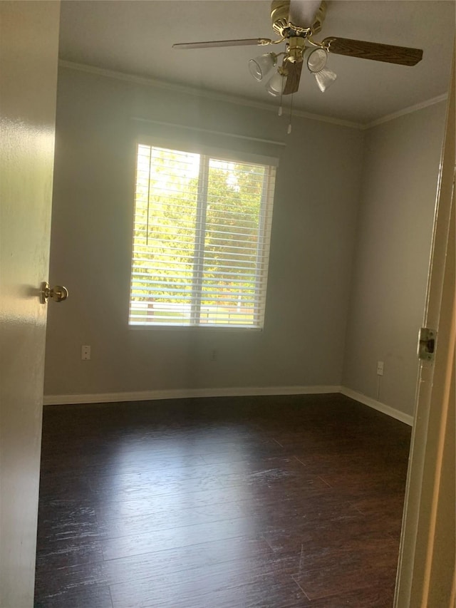 726 Memorial Mews St Unit 4, Houston, TX 77079 - photo 20