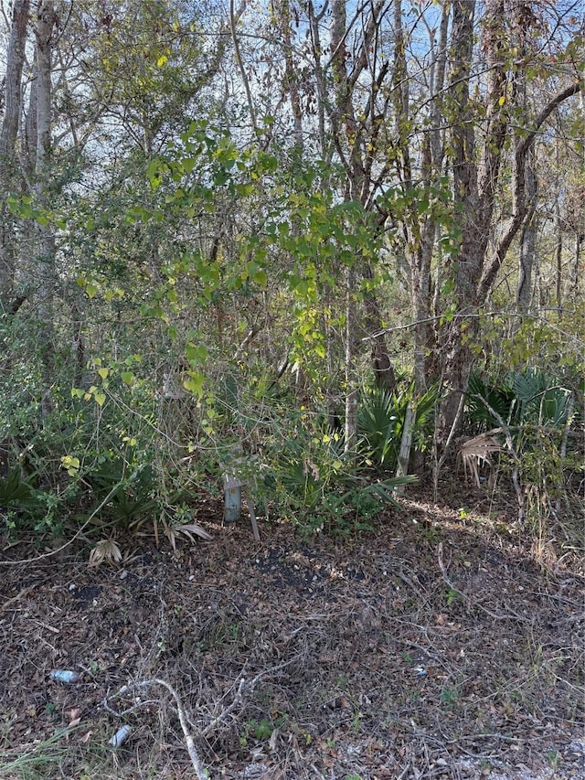 17480 County Road 945, Brazoria, TX 77422