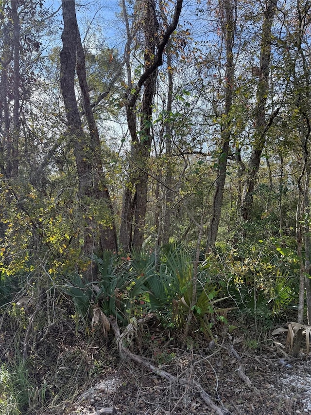 17480 County Road 945, Brazoria, TX 77422