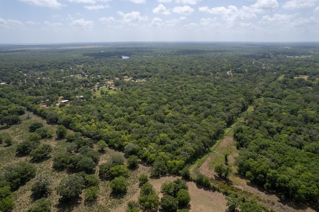 17480 County Road 945, Brazoria, TX 77422