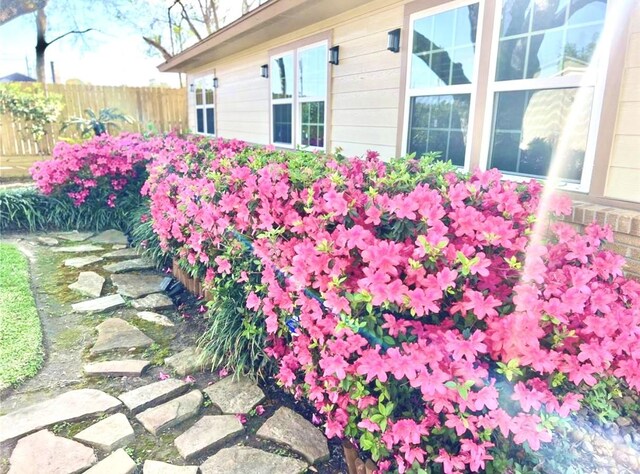1813 Huge Oaks St, Houston, TX 77055 - view of yard