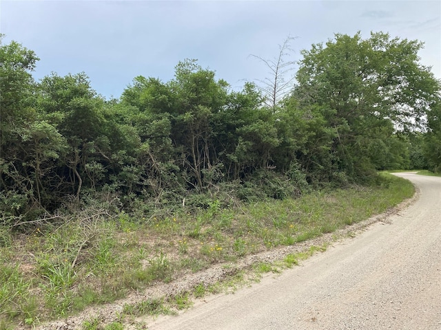 000 Green Ash Dr, Normangee, TX 77871