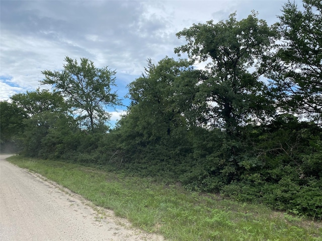 000 Green Ash Dr, Normangee, TX 77871