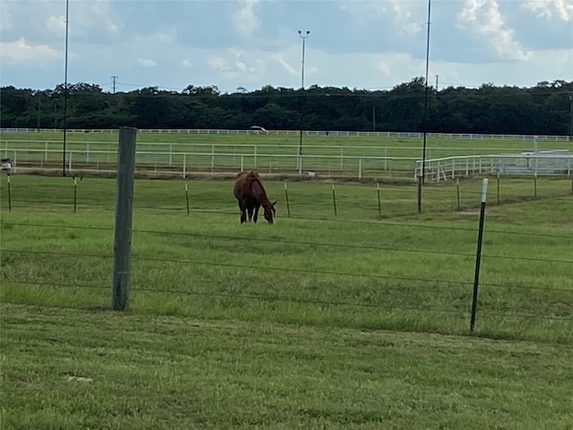 000 Green Ash Dr, Normangee, TX 77871