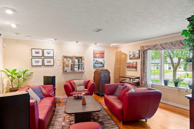 5022 Briarbend Dr, Houston, TX 77035 - living room with crown molding, wood finished floors, and a textured ceiling