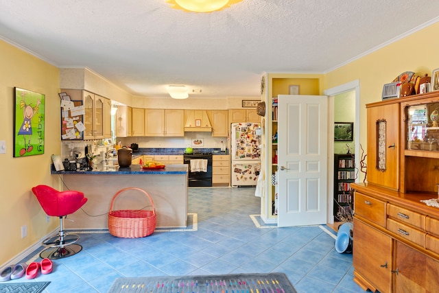 5022 Briarbend Dr, Houston, TX 77035 - kitchen with freestanding refrigerator, range, dark countertops, light brown cabinets, and a peninsula